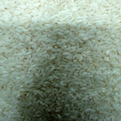Gobindo Bhog Rice 1 kg