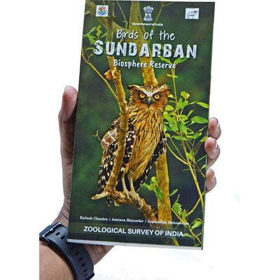 Birds of Sundarban Biosphere Reserve